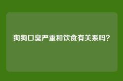 狗狗口臭严重和饮食有关系吗？