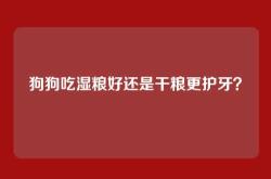 狗狗吃湿粮好还是干粮更护牙？