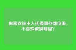 狗喜欢被主人抚摸哪些部位呢，不喜欢被摸哪里？