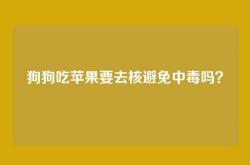 狗狗吃苹果要去核避免中毒吗？