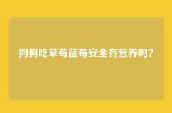 狗狗吃草莓蓝莓安全有营养吗？