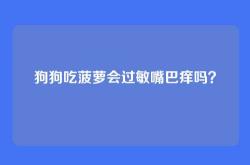 狗狗吃菠萝会过敏嘴巴痒吗？