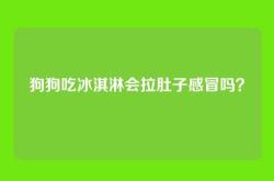 狗狗吃冰淇淋会拉肚子感冒吗？