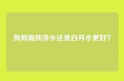 狗狗喝纯净水还是白开水更好？