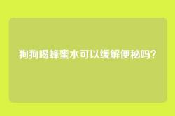 狗狗喝蜂蜜水可以缓解便秘吗？