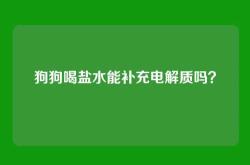狗狗喝盐水能补充电解质吗？