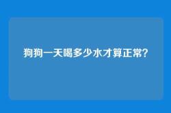 狗狗一天喝多少水才算正常？