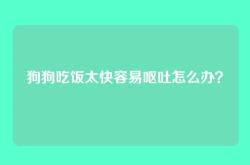 狗狗吃饭太快容易呕吐怎么办？