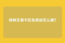 狗狗生病不吃东西该怎么喂？