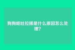 狗狗呕吐拉稀是什么原因怎么处理？