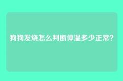 狗狗发烧怎么判断体温多少正常？