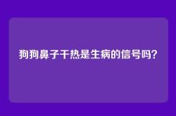 狗狗鼻子干热是生病的信号吗？
