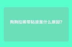 狗狗拉稀带粘液是什么原因？