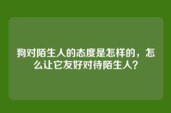 狗对陌生人的态度是怎样的，怎么让它友好对待陌生人？