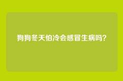狗狗冬天怕冷会感冒生病吗？