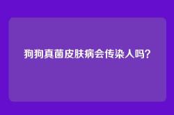 狗狗真菌皮肤病会传染人吗？