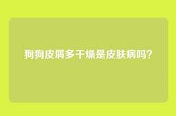 狗狗皮屑多干燥是皮肤病吗？
