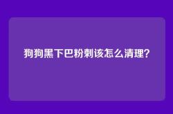 狗狗黑下巴粉刺该怎么清理？
