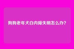 狗狗老年犬白内障失明怎么办？
