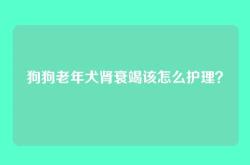 狗狗老年犬肾衰竭该怎么护理？