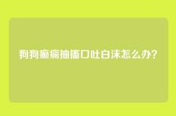 狗狗癫痫抽搐口吐白沫怎么办？