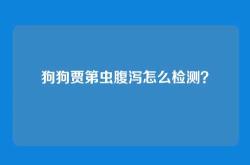 狗狗贾第虫腹泻怎么检测？