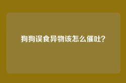 狗狗误食异物该怎么催吐？