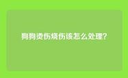 狗狗烫伤烧伤该怎么处理？