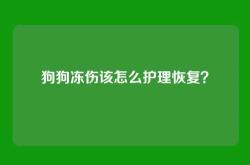 狗狗冻伤该怎么护理恢复？