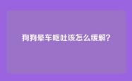 狗狗晕车呕吐该怎么缓解？