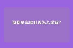 狗狗晕车呕吐该怎么缓解？