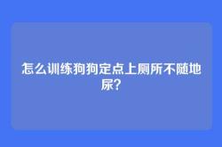 怎么训练狗狗定点上厕所不随地尿？