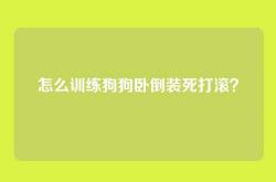 怎么训练狗狗卧倒装死打滚？