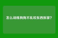 怎么训练狗狗不乱咬东西拆家？