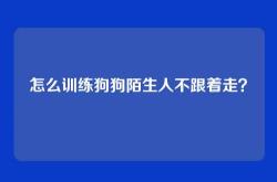怎么训练狗狗陌生人不跟着走？