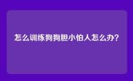 怎么训练狗狗胆小怕人怎么办？