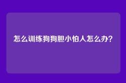 怎么训练狗狗胆小怕人怎么办？