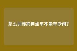 怎么训练狗狗坐车不晕车吵闹？