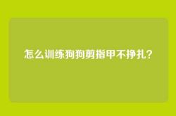 怎么训练狗狗剪指甲不挣扎？