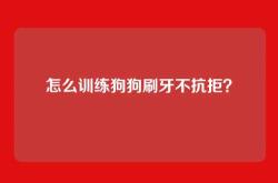 怎么训练狗狗刷牙不抗拒？