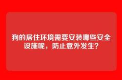 狗的居住环境需要安装哪些安全设施呢，防止意外发生？
