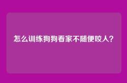 怎么训练狗狗看家不随便咬人？