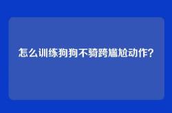 怎么训练狗狗不骑跨尴尬动作？