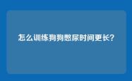 怎么训练狗狗憋尿时间更长？