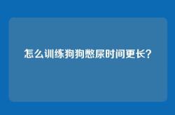 怎么训练狗狗憋尿时间更长？