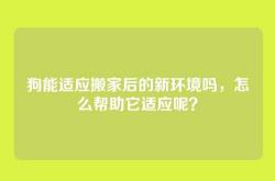 狗能适应搬家后的新环境吗，怎么帮助它适应呢？