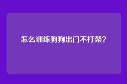 怎么训练狗狗出门不打架？