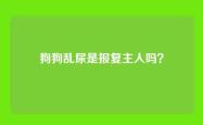 狗狗乱尿是报复主人吗？