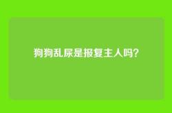 狗狗乱尿是报复主人吗？