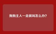 狗狗主人一走就叫怎么办？